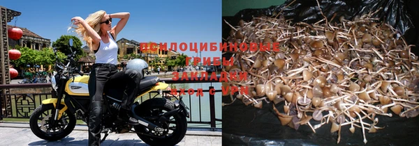 таблы Липки