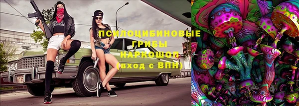 прущие грибы Абдулино