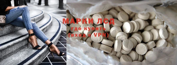 прущие грибы Абдулино