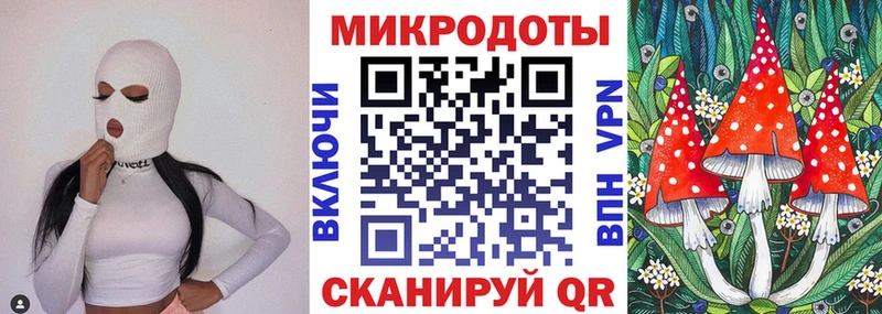 блэк спрут зеркало Урень Псилоцибиновые грибы Psilocybine cubensis